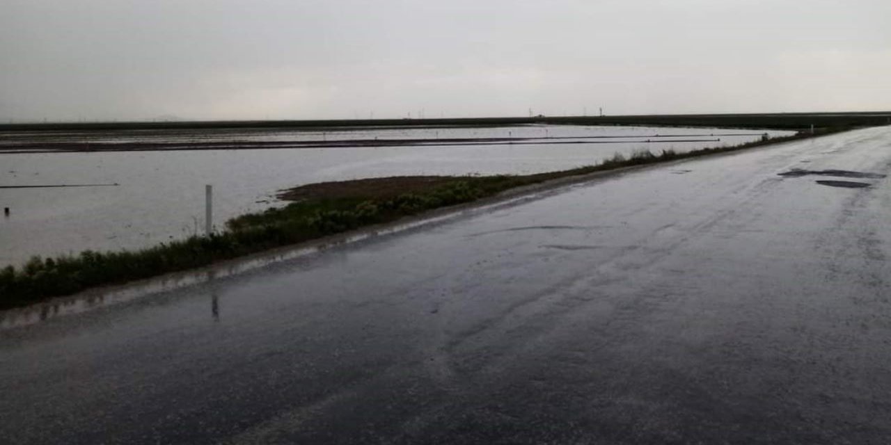 Şiddetli yağış nedeniyle araziler sular altında kaldı
