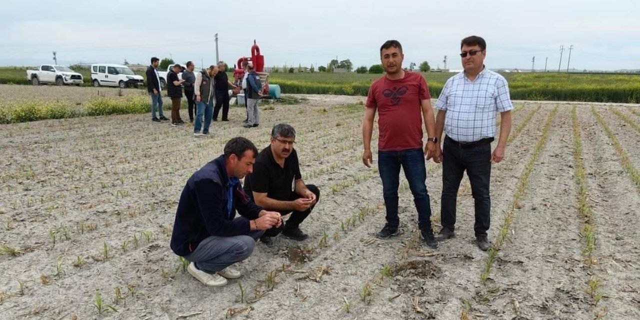 Konya'da ekili alanlardaki incelemeler devam ediyor