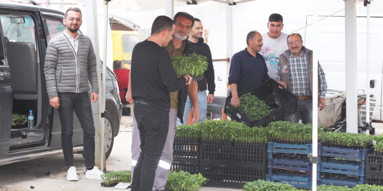 Sarayönü'nde fide satışları hız kazandı