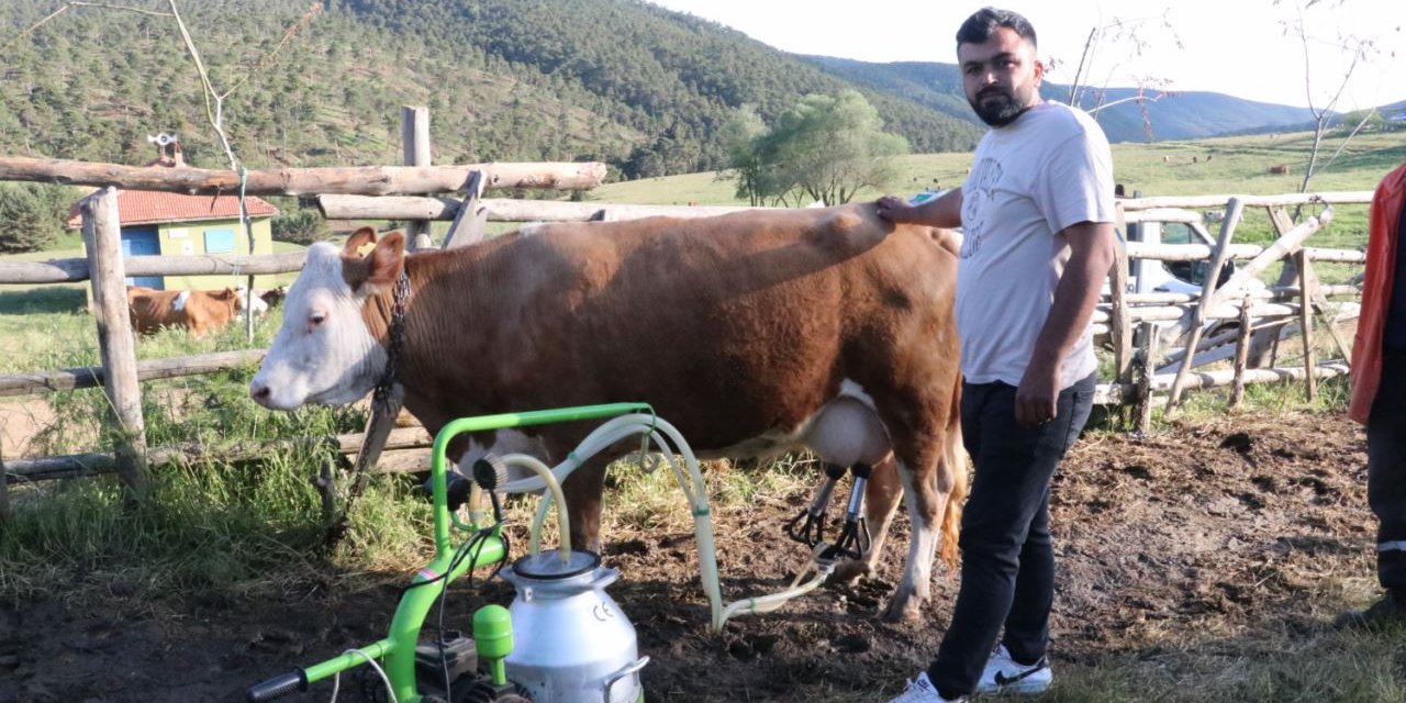 Bu ilçede günlük 80 ton süt toplanıyor