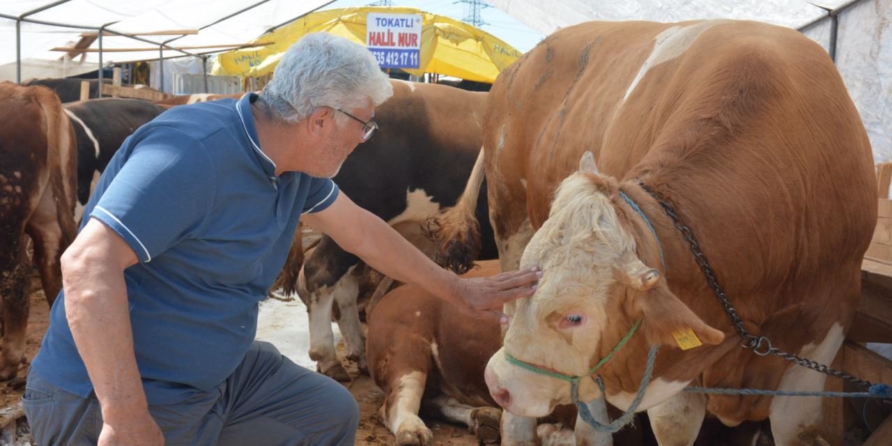 Kurban pazarlarındaki hareketlilik devam ediyor