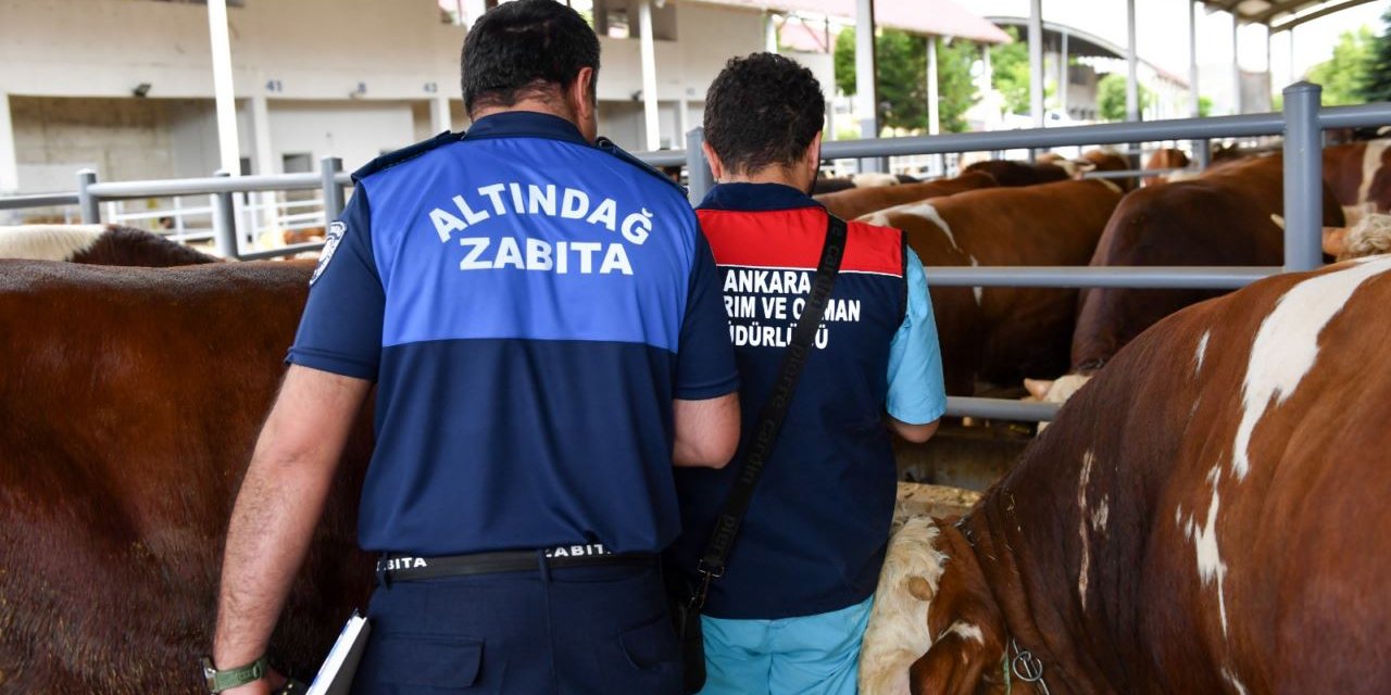 Ekipler, kurbanlık hayvanları sağlık taramasından geçiriyor