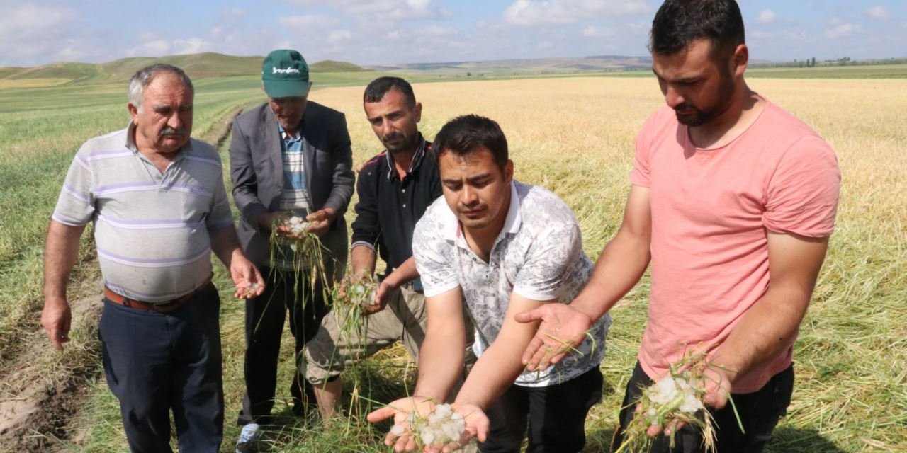 Etkili olan dolu Yozgat'ın köylerinde zarara neden oldu