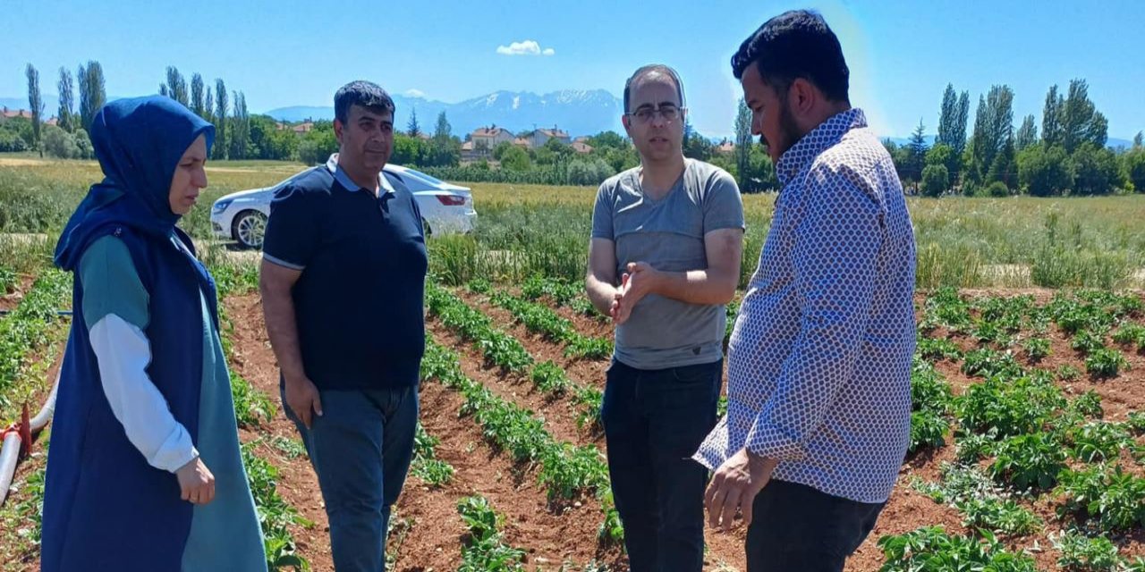 Tarım ve Orman Müdürlüğü ekipleri zararlılara karşı kontrollerde bulunuyor