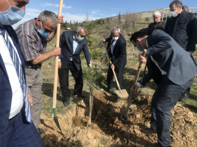 Ağaçlandırma seferberliği devam ediyor