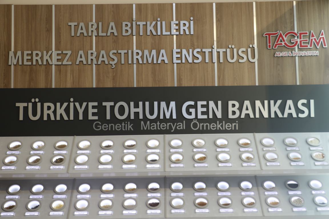 Bitkisel çeşitlilik Tohum Gen Bankası'nda korunuyor