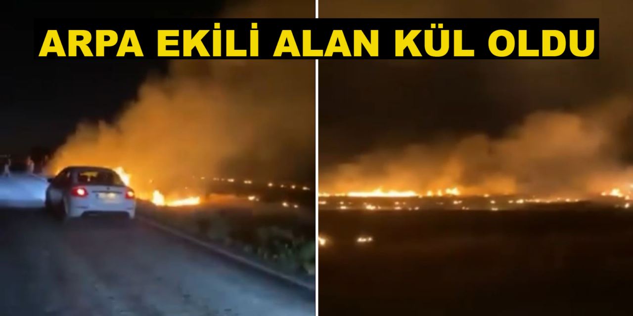 Ereğli’de 30 dekarlık ekili alan alev alev yandı