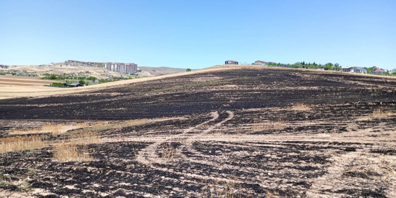 Çöpte çıkan yangın 300 dönümlük ekili araziye sıçradı