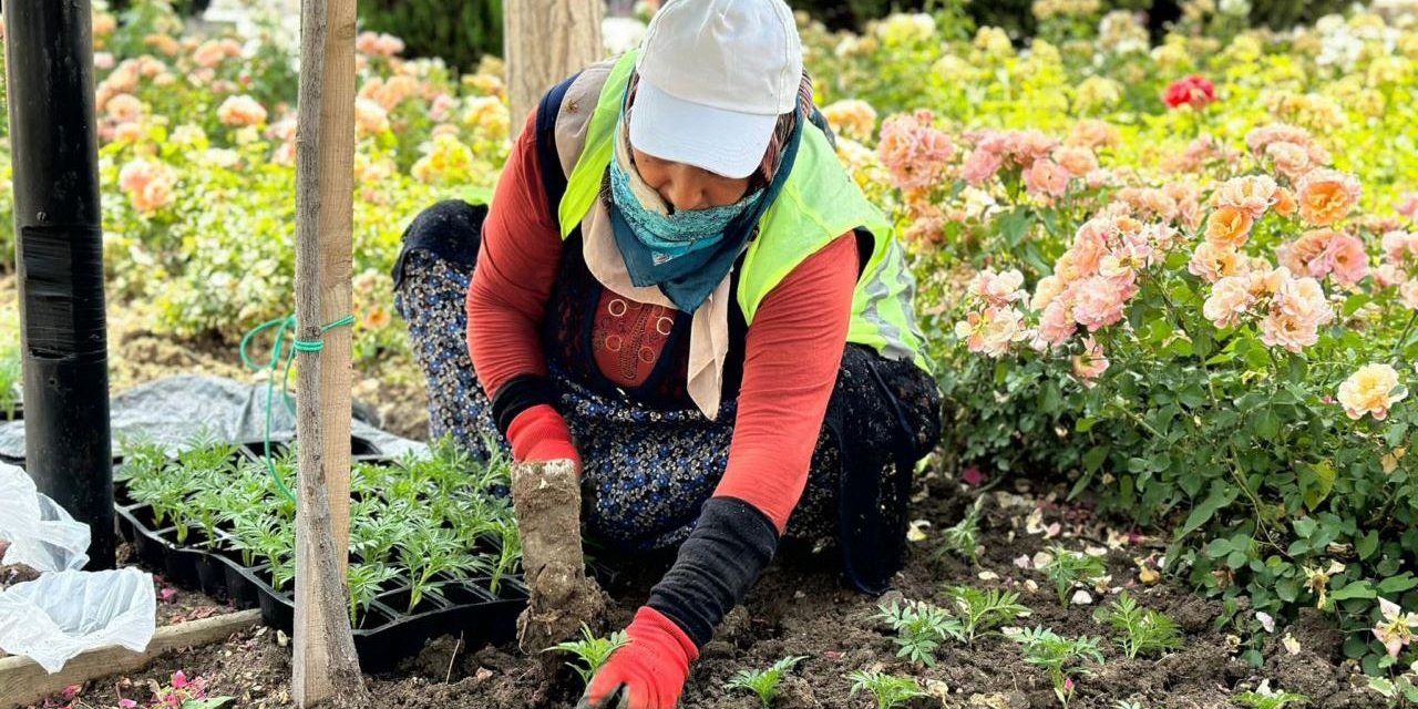 Sincan rengarenk çiçeklerle donatıldı