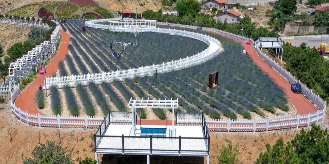 Yazın gelmesiyle yeniden açan lavantalar Meram'da görsel şölen sunuyor