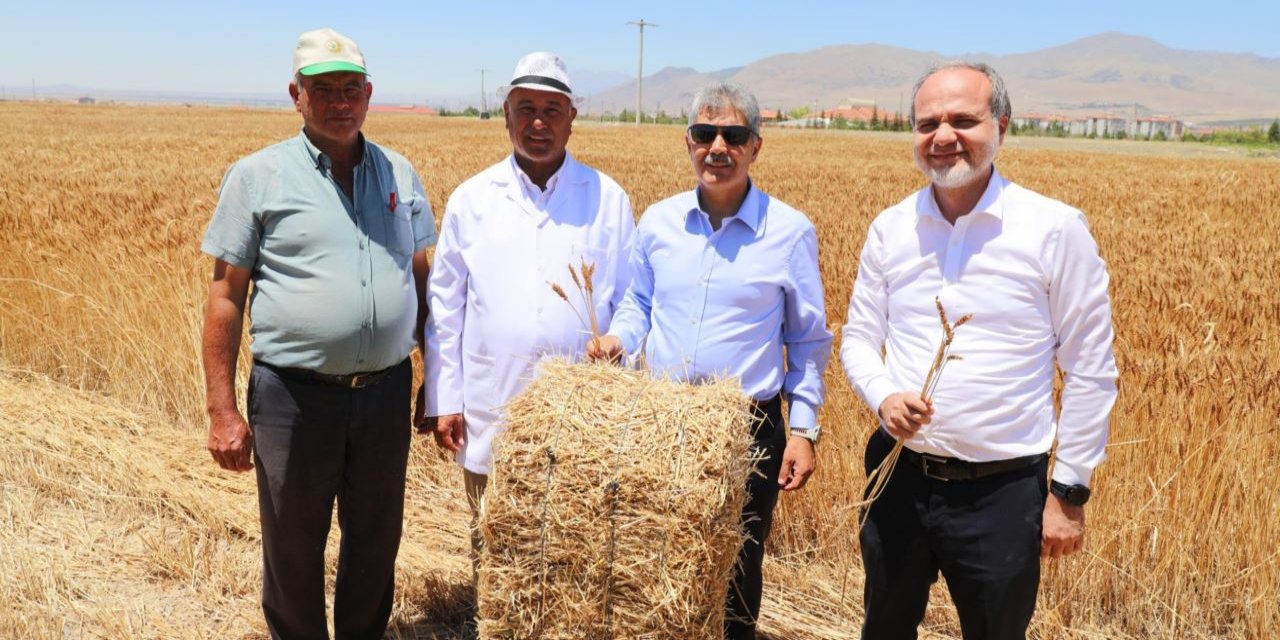 Üniversitenin tarım arazilerindeki hasat başladı