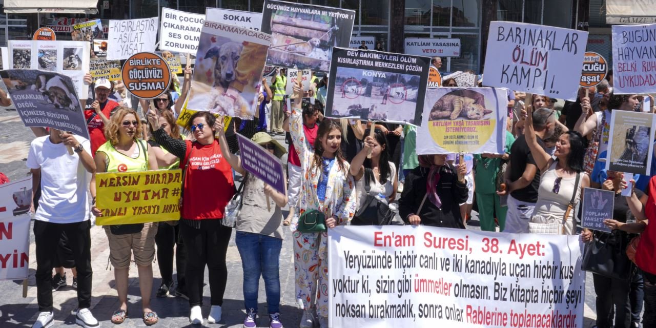 Hayvanseverler, sahipsiz hayvanlara ilişkin yapılması planlanan düzenlemeye tepki gösterdi