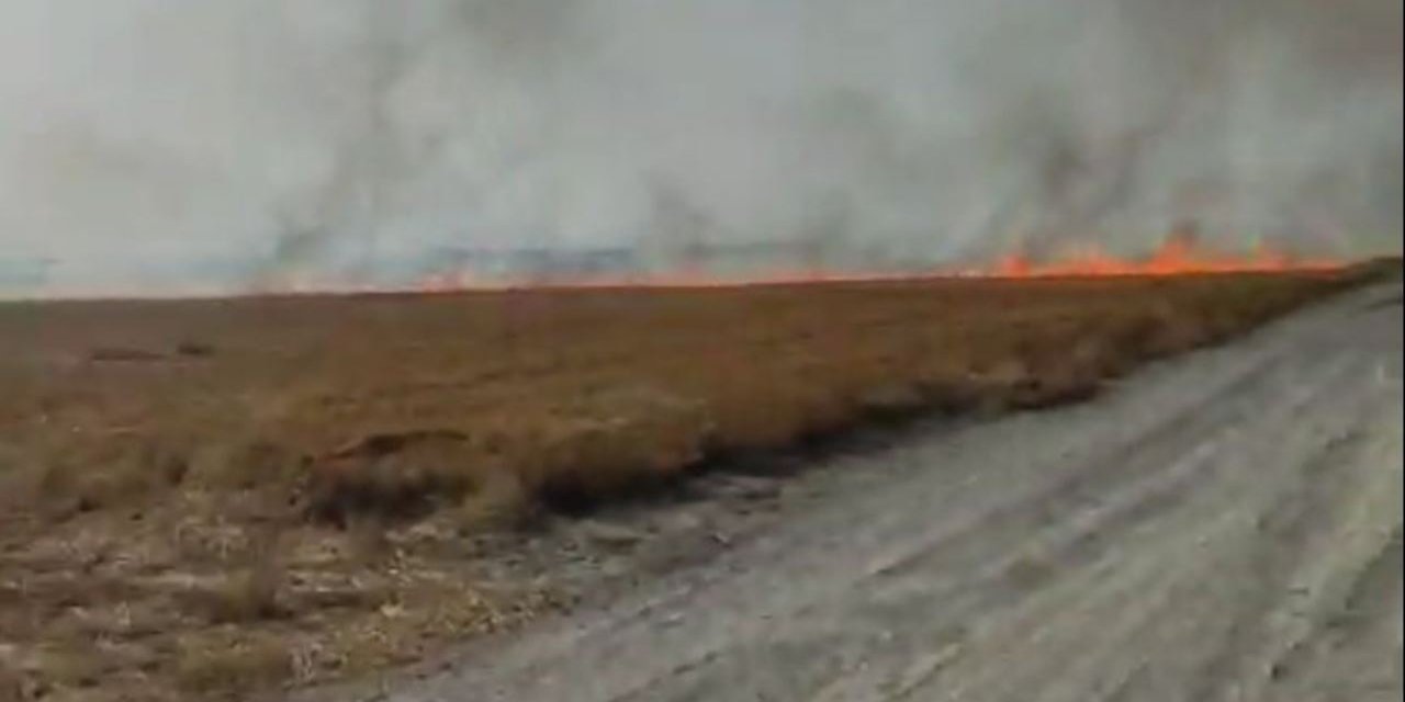 Tarlada çıkan anız yangınına müdahalede bulunuldu