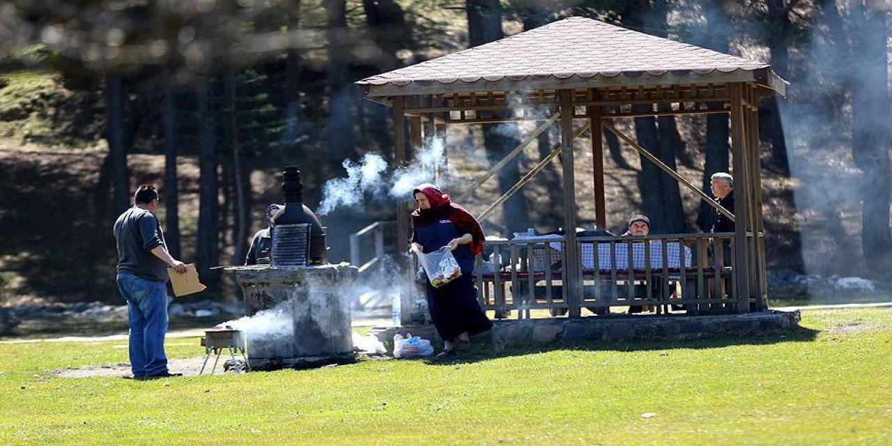 Piknik Sezonu Açıldı! Piknik Yaparken İşinize Yarayacak 10 Önemli Bilgi