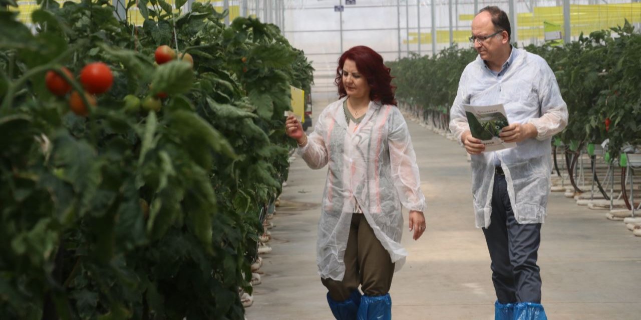 Meyve, sebze ve bitkilerdeki tarımsal zararlılar bu yöntemle azaltılıyor