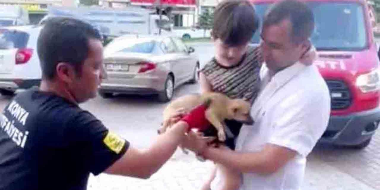 Aracın motor kısmına giren yavru köpek kurtarıldı