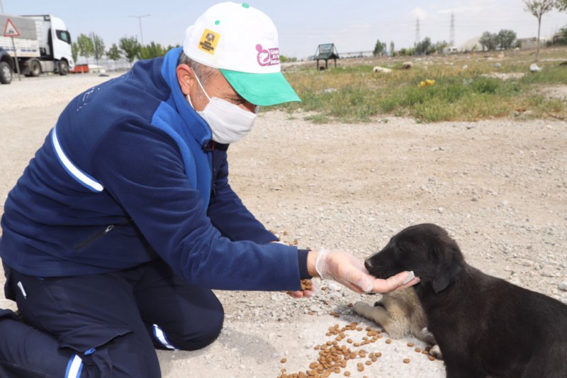 Can Dostlarımız Tam Kapanmada da Büyükşehir’e Emanet