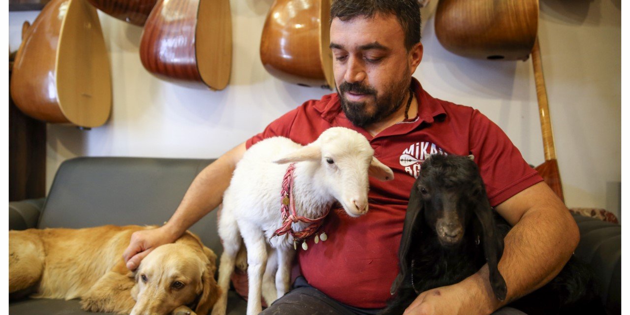 Kuzu, köpek ve oğlak bağlama ustasına yoldaş oldu