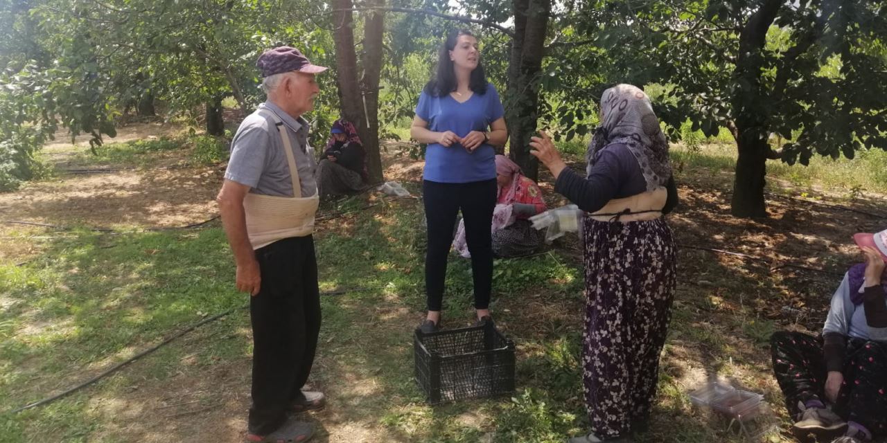 Ovada böğürtlen ve ahududu da yetişecek