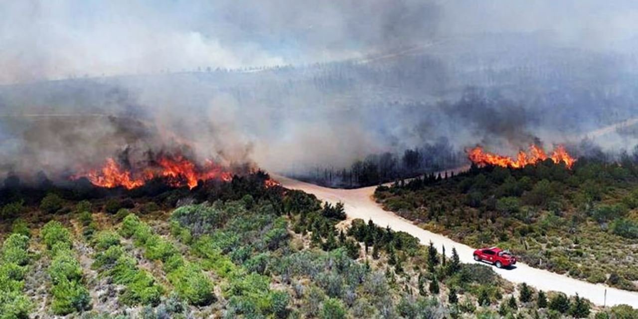 Çeşme'de orman yangını: 3 kişi feci şekilde can verdi