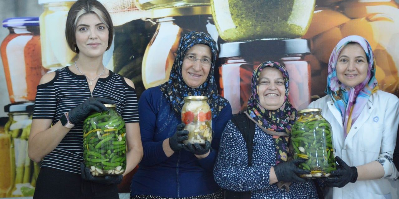 Tarladan sofraya Çubuk turşusunun yapım hikayesi