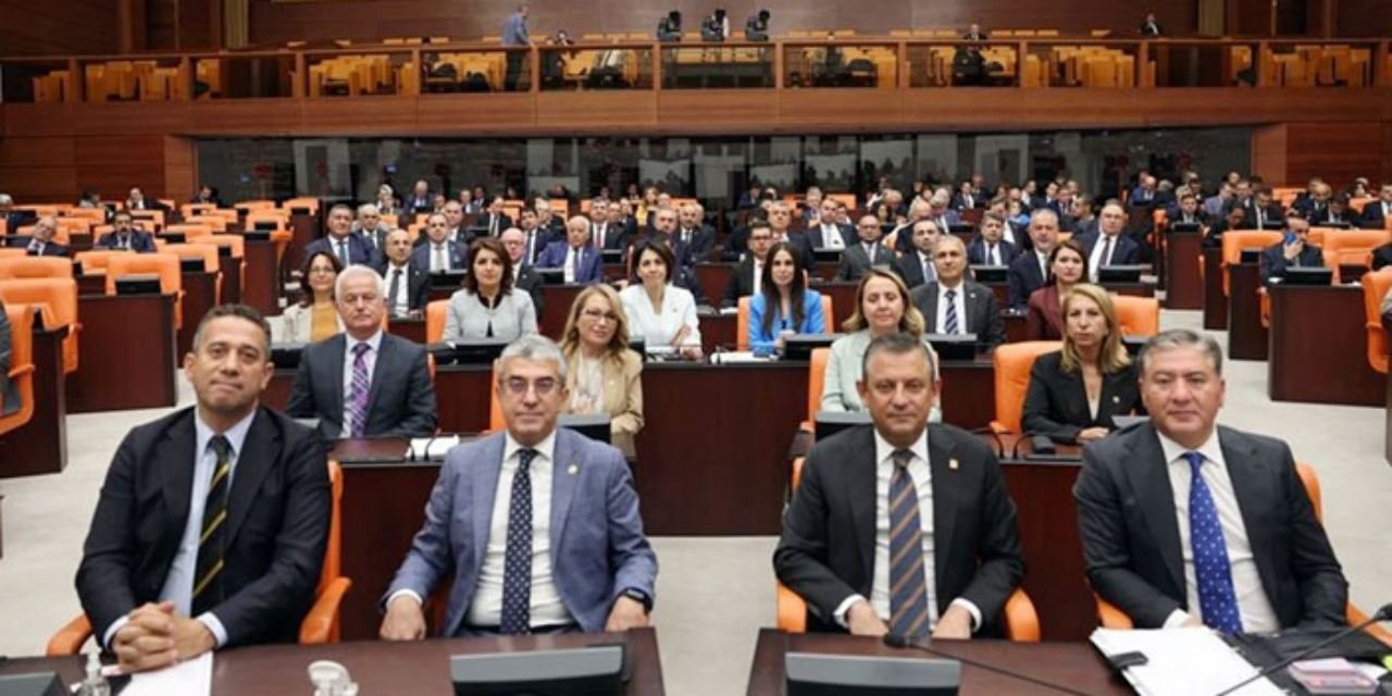 CHP harekete geçti: Sokak Hayvanları Yasasını AYM'ye taşıyor