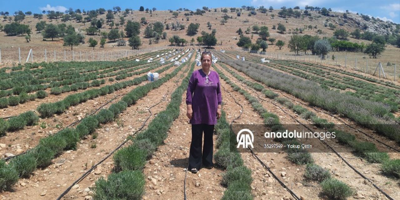 Terapi sayesinde tanıdı, üreticisi oldu