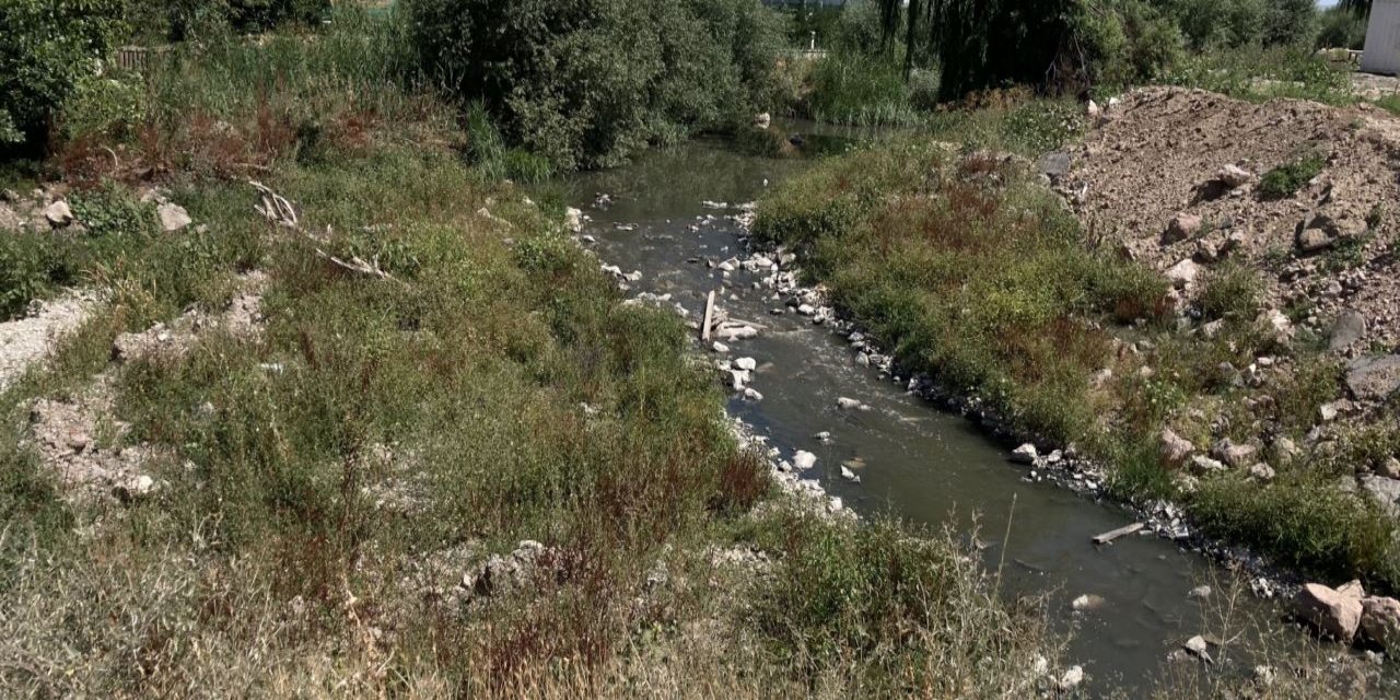 Sincan halkı kötü koku ve sivrisinek kabusu yaşıyor