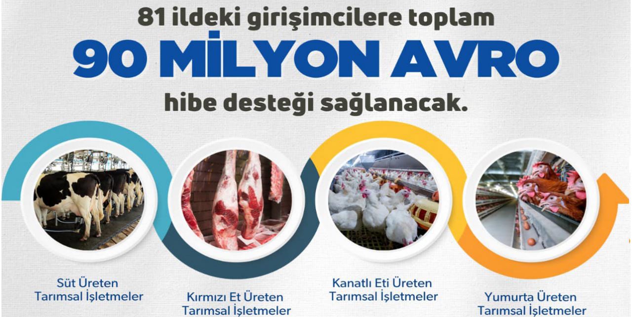 90 Milyon avro hibe desteği sağlanacak