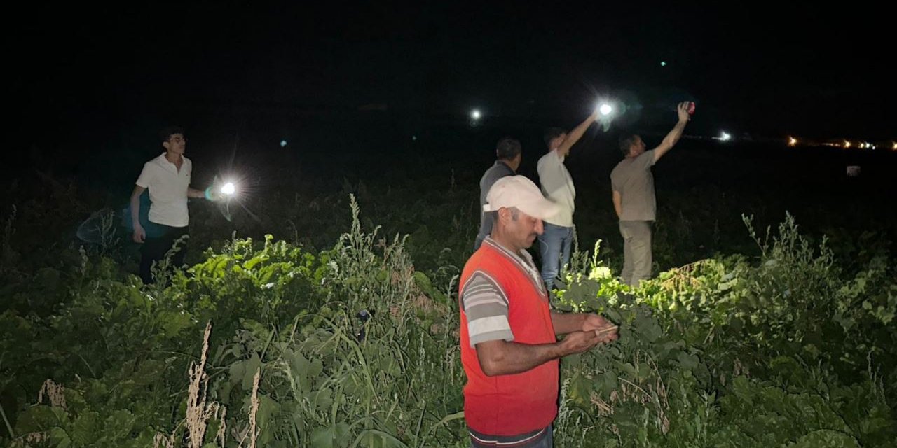 Tarlasında ard arda oluşan obruklar çiftçiyi tedirgin ediyor