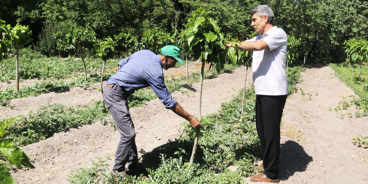 Böceklerin yemesi için yetiştiriliyor