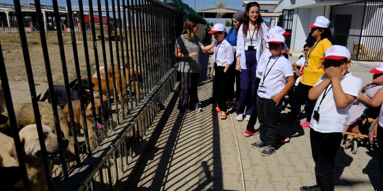 Özel çocuklar Sahipsiz Hayvan Bakımevi ve Rehabilitasyon Merkezi’ni ziyaret etti