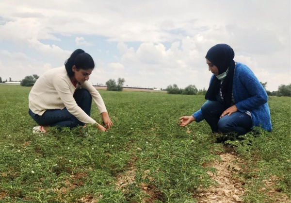 “Çiftçiler mantar hastalıklarına dikkat etsin”