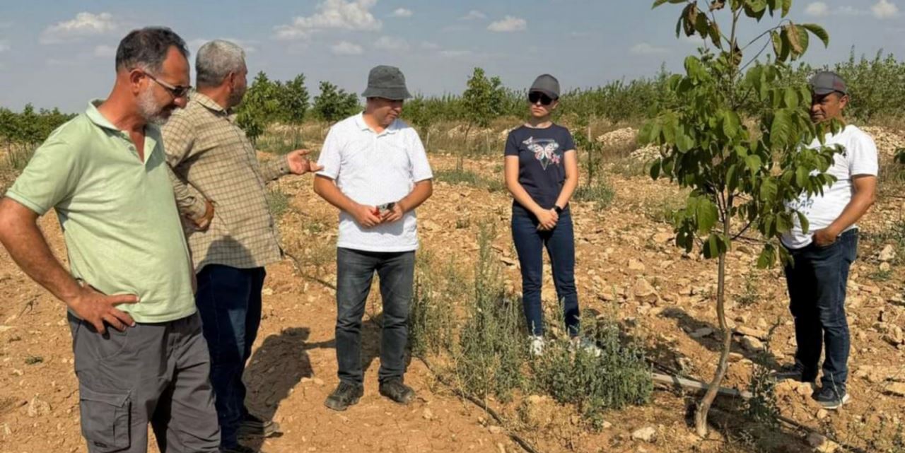 Sarayönü’nde badem üreticilerine teknik destek