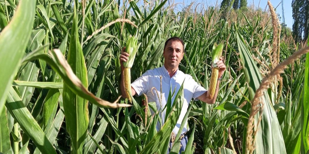 Bu ilçede hasat öncesi kontroller tamamlanıyor