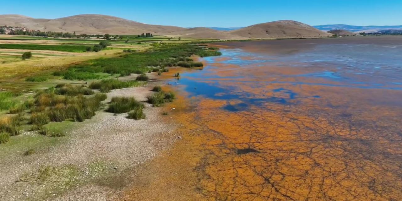 Çavuşcugöl sazlıkları temizlendi