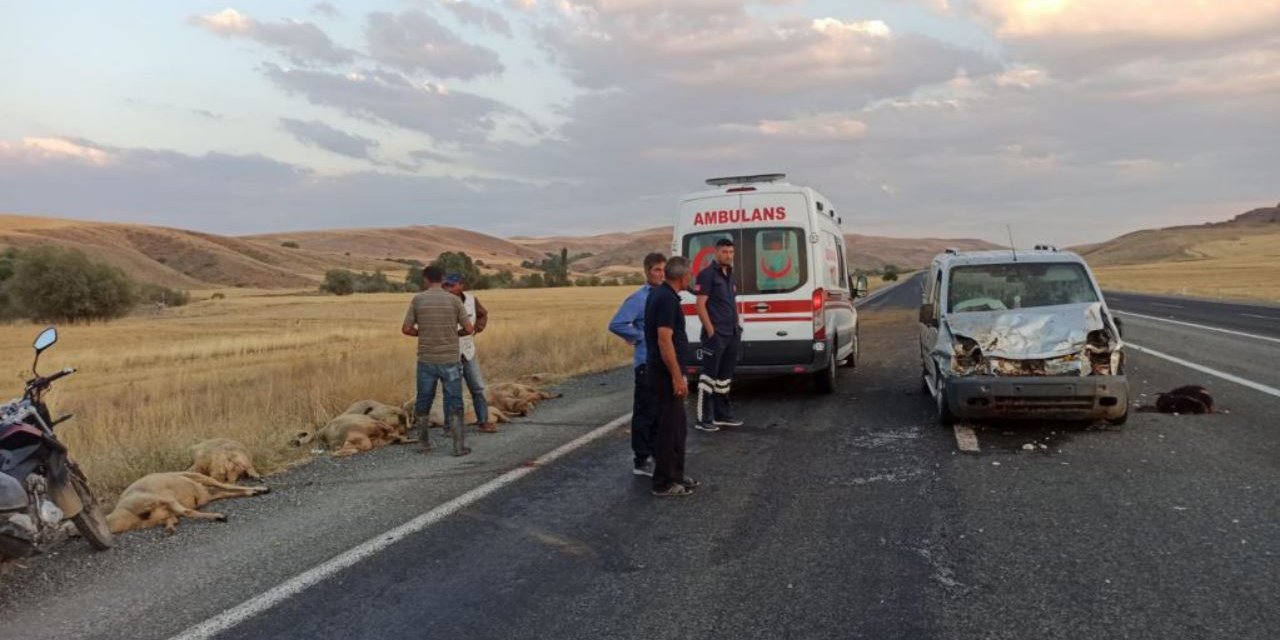 Şarkışla'daki kazada araç sürücüsü yaralandı, 14 koyun telef oldu