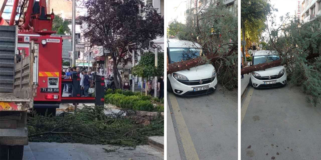 Kırıkkale'de park etmiş aracın üzerine ağaç düştü