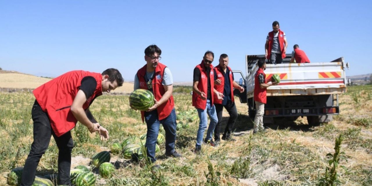 Belediyeden karpuz ikramı