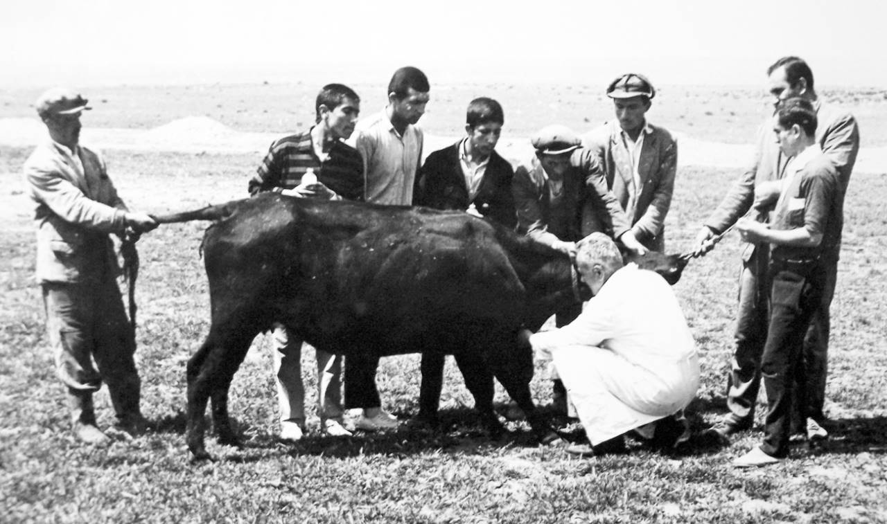 Konuklarda Hayvan Sağlığı Eğitimi