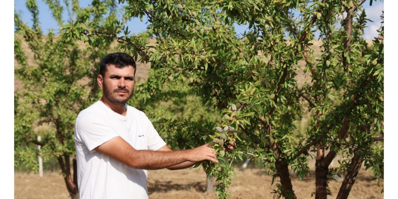 Söylenenleri dinlemedi, 11 yıl sonra hasat etti