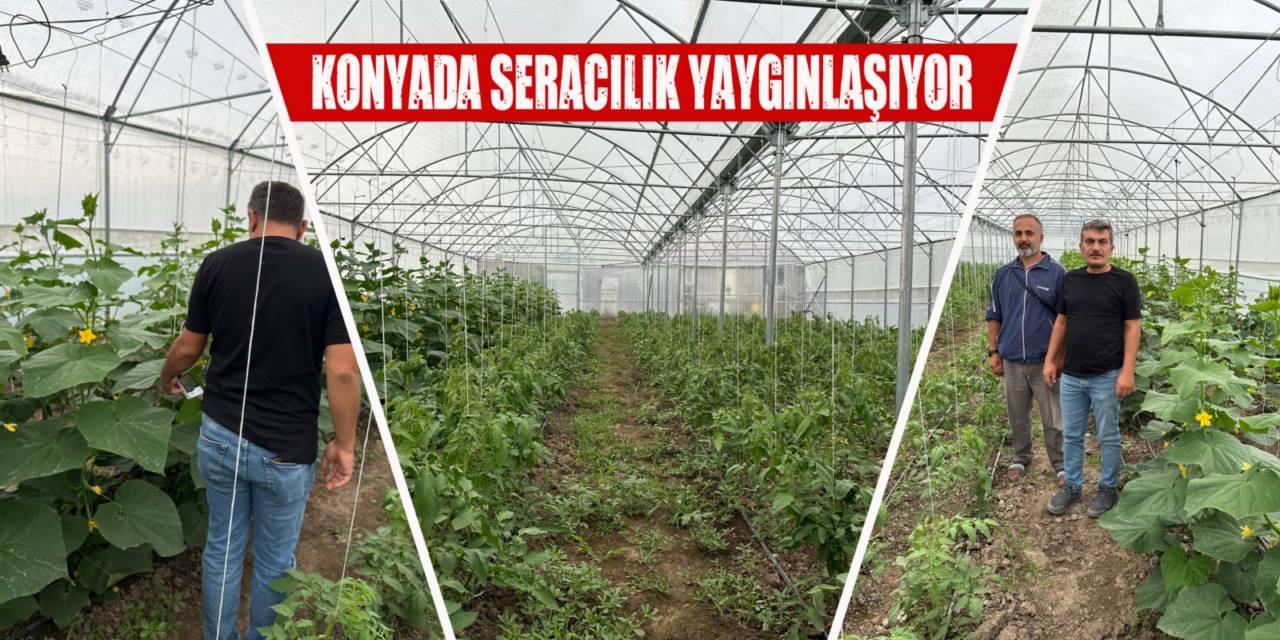 Seralar sayesinde verim arttı