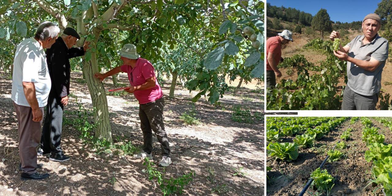 Hububatta ekim derinliğine dikkat