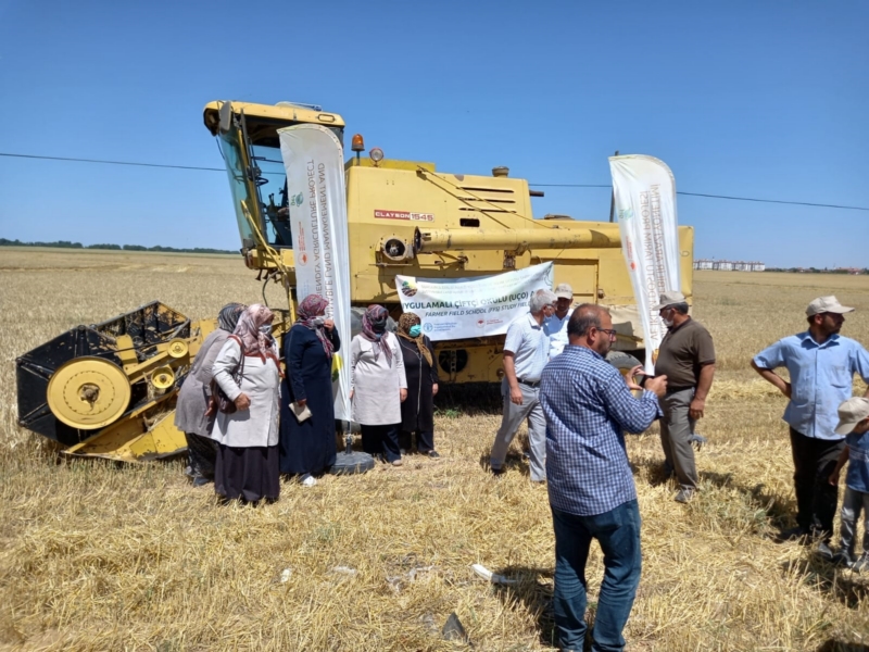 Çiftçi okulunda hasat heyecanı