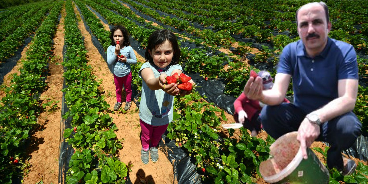 “Destekledik, çiftçimiz emek verdi, bereketli topraklarda tescillendi”