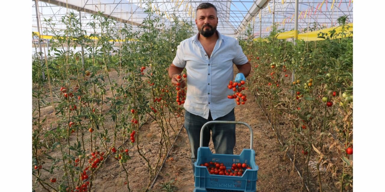 KOP'a başvurdu, şimdi istihdama katkıda bulunuyor