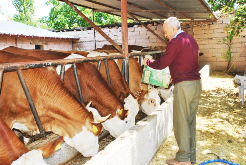 Kurban satış ve kesimine ilişkin kurallar belirlendi