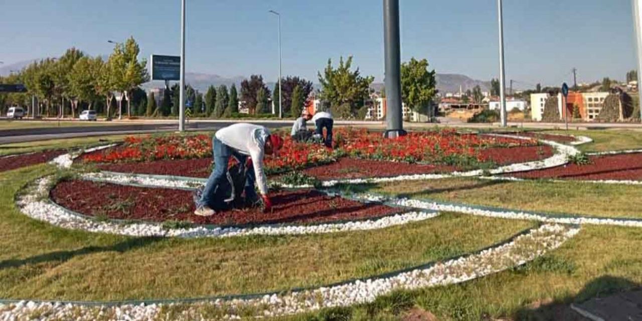 Büyükşehir, yabancı otlarla mücadele ve bakım çalışmalarını hızlandırdı