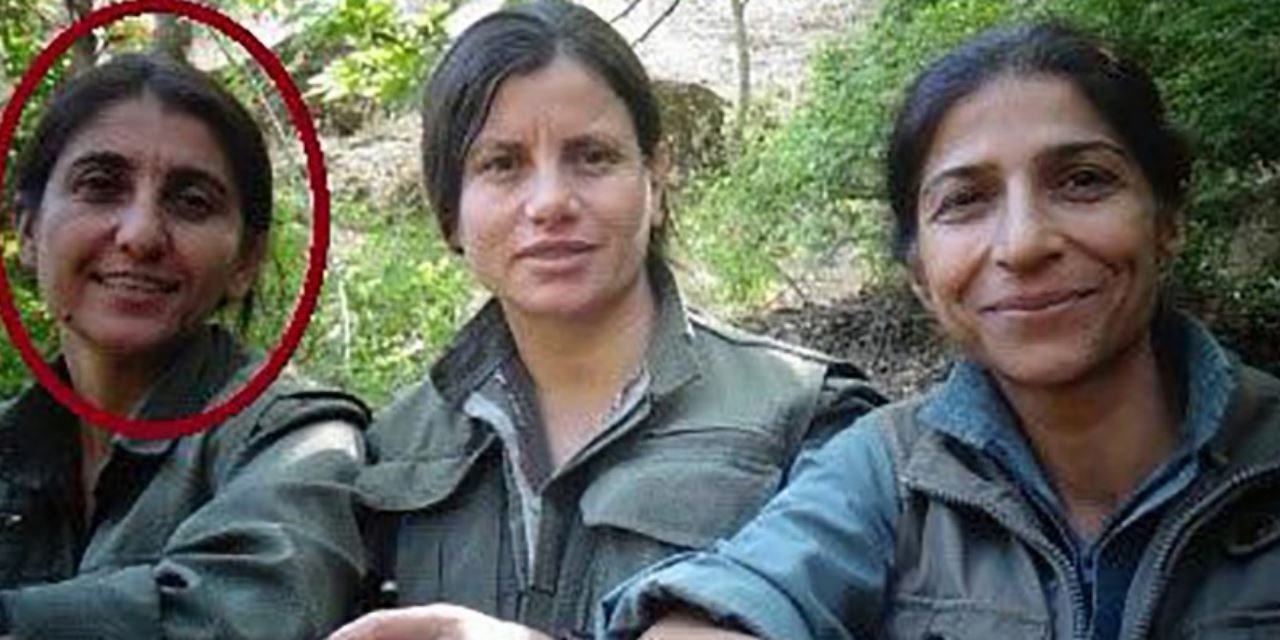 MİT'ten operasyon: PKK’nın sözde İran Sorumlusu etkisiz hale getirildi