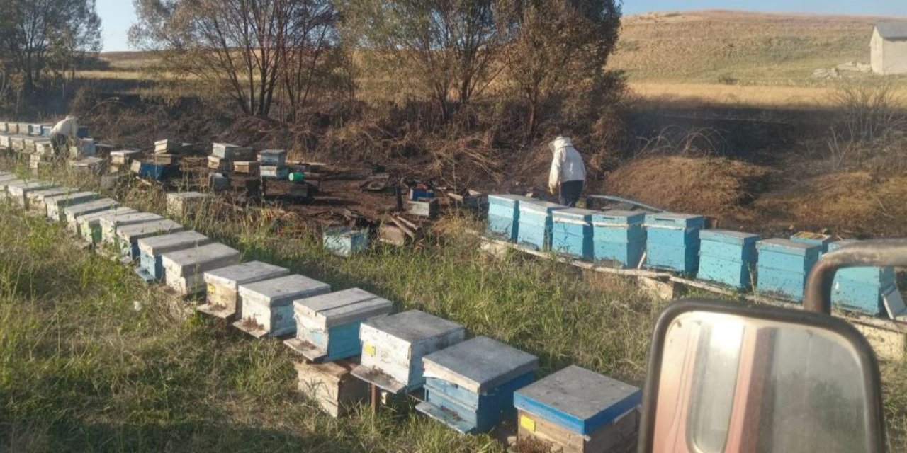 Anız yangınında 40 arı kovanı zarar gördü